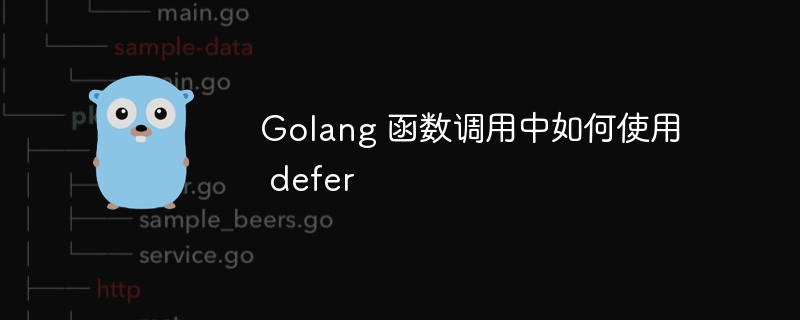 Golang 函数调用中如何使用 defer