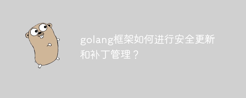 golang框架如何进行安全更新和补丁管理？