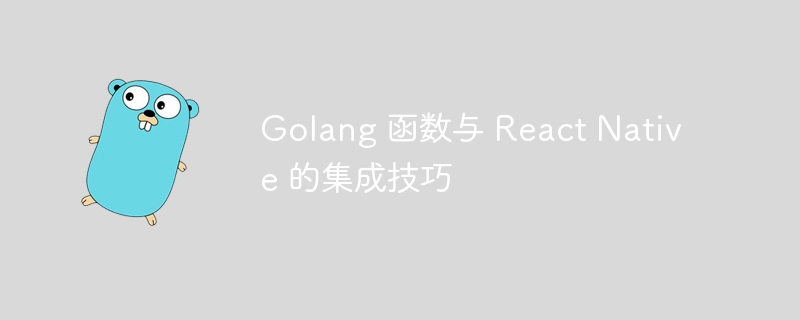 Golang 函数与 React Native 的集成技巧