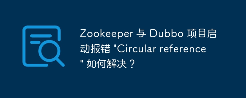 Zookeeper 与 Dubbo 项目启动报错 \