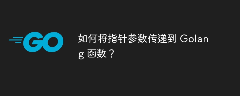 如何将指针参数传递到 Golang 函数？