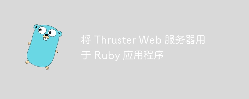 将 Thruster Web 服务器用于 Ruby 应用程序