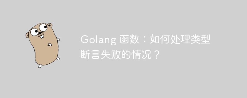 Golang 函数：如何处理类型断言失败的情况？