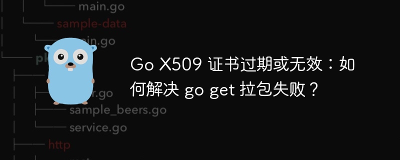 Go X509 证书过期或无效：如何解决 go get 拉包失败？