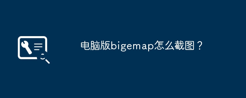 电脑版bigemap怎么截图？