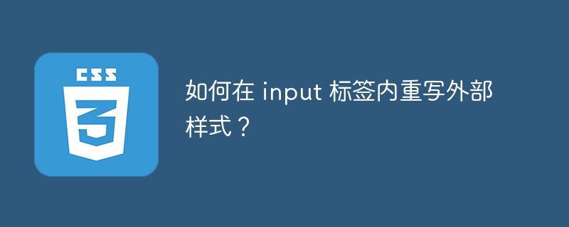 如何在 input 标签内重写外部样式？