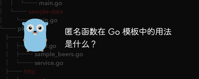 匿名函数在 Go 模板中的用法是什么？