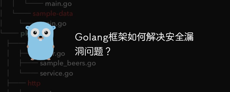 Golang框架如何解决安全漏洞问题？