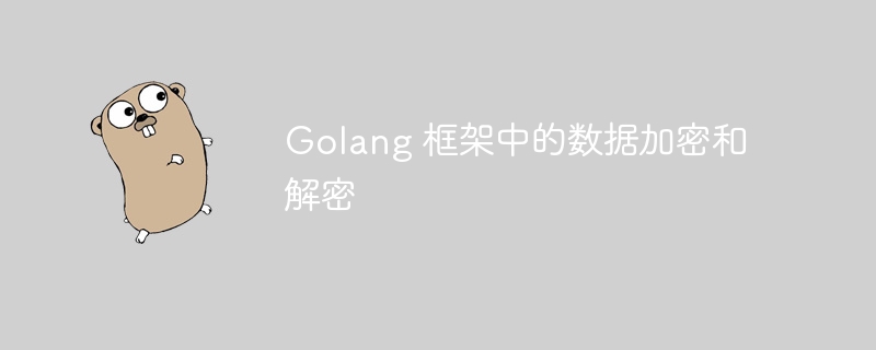 Golang 框架中的数据加密和解密