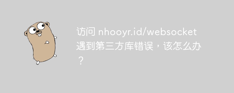 访问 nhooyr.id/websocket 遇到第三方库错误，该怎么办？