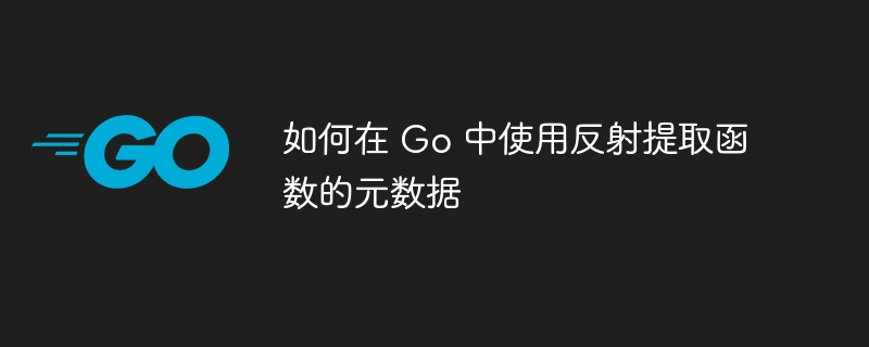 如何在 Go 中使用反射提取函数的元数据