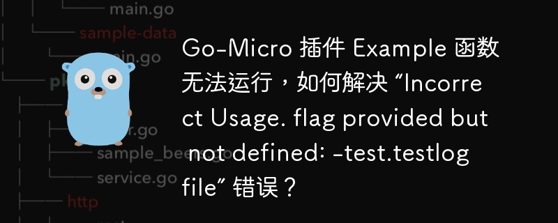 Go-Micro 插件 Example 函数无法运行，如何解决 “Incorrect Usage. flag provided but not defined: -test.testlogfile” 错误？ 
