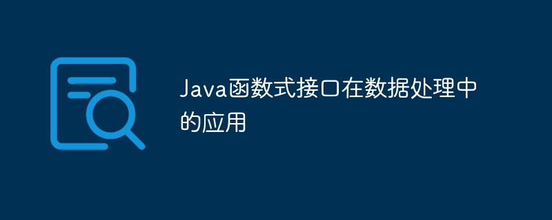 Java函数式接口在数据处理中的应用