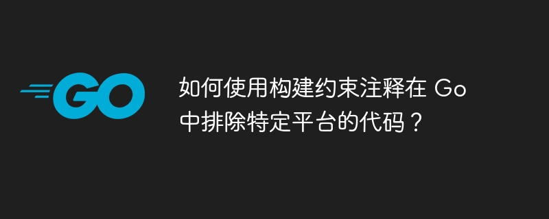 如何使用构建约束注释在 Go 中排除特定平台的代码？