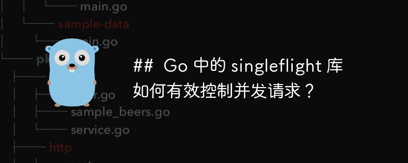 ##  Go 中的 singleflight 库如何有效控制并发请求？