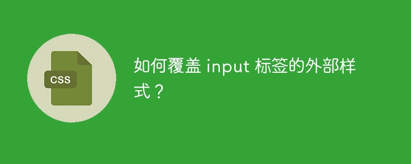 如何覆盖 input 标签的外部样式？