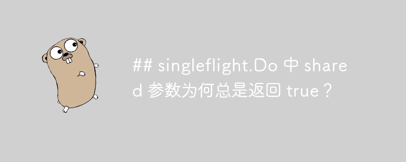 ## singleflight.Do 中 shared 参数为何总是返回 true？