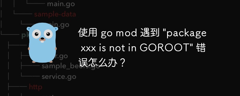 使用 go mod 遇到 \