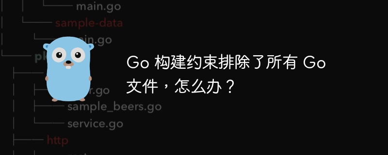 Go 构建约束排除了所有 Go 文件，怎么办？