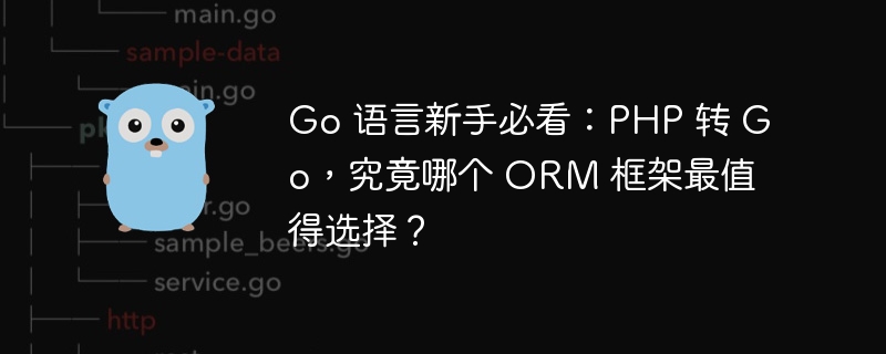 Go 语言新手必看：PHP 转 Go，究竟哪个 ORM 框架最值得选择？