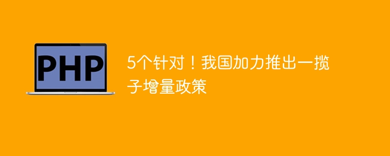 5个针对！我国加力推出一揽子增量政策