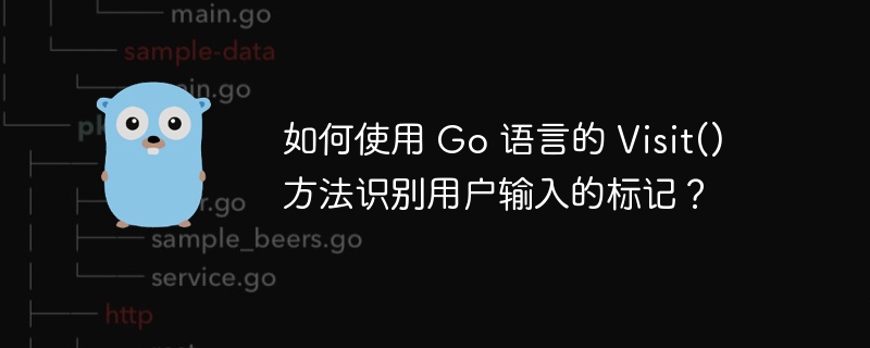 如何使用 Go 语言的 Visit() 方法识别用户输入的标记？ 
