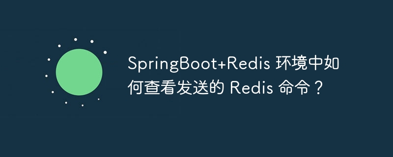 SpringBoot+Redis 环境中如何查看发送的 Redis 命令？