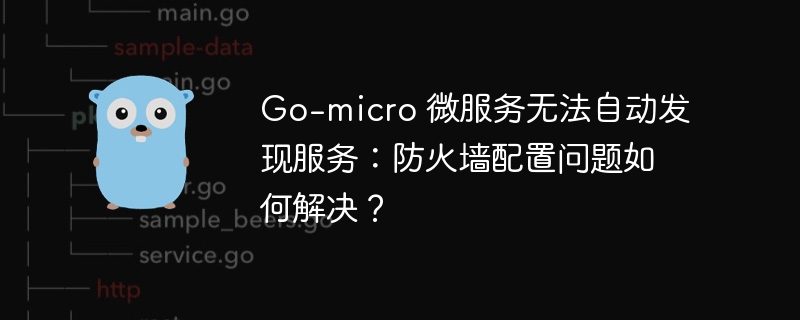 Go-micro 微服务无法自动发现服务：防火墙配置问题如何解决？