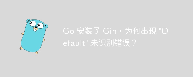 Go 安装了 Gin，为何出现 \