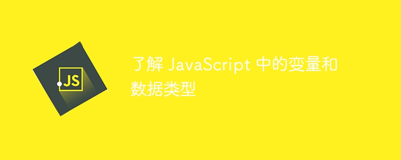 了解 JavaScript 中的变量和数据类型