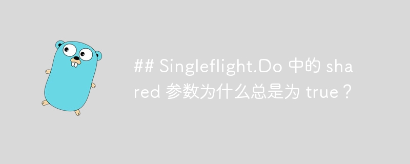 ## Singleflight.Do 中的 shared 参数为什么总是为 true？