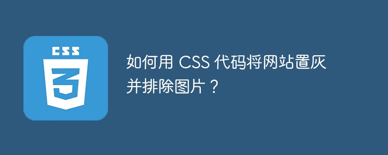 如何用 CSS 代码将网站置灰并排除图片？