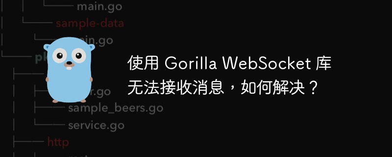 使用 Gorilla WebSocket 库无法接收消息，如何解决？ 
