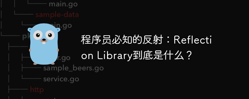 程序员必知的反射：Reflection Library到底是什么？