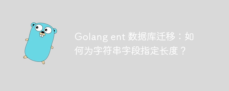 Golang ent 数据库迁移：如何为字符串字段指定长度？