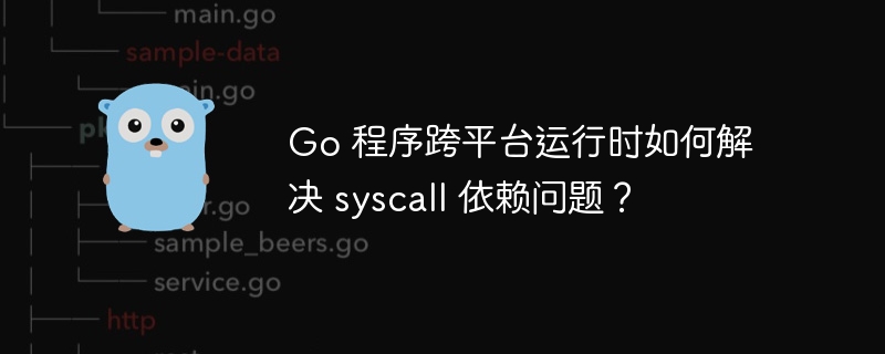 Go 程序跨平台运行时如何解决 syscall 依赖问题？