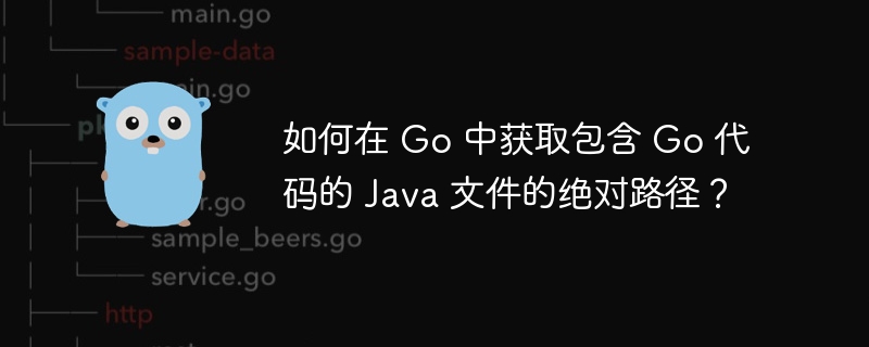 如何在 Go 中获取包含 Go 代码的 Java 文件的绝对路径？