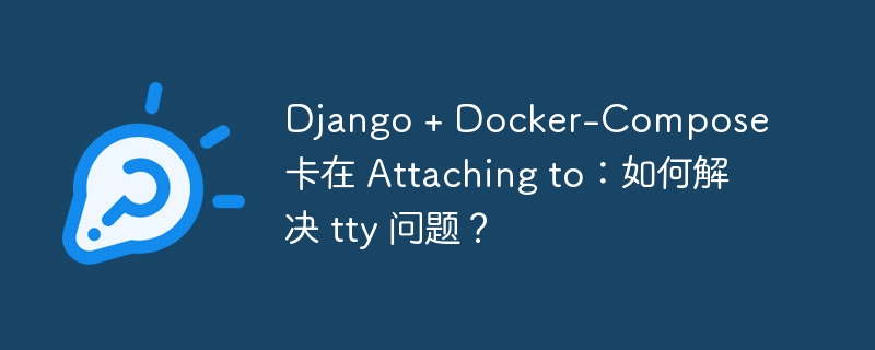 Django + Docker-Compose 卡在 Attaching to：如何解决 tty 问题？