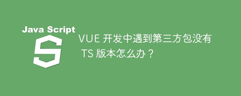 VUE 开发中遇到第三方包没有 TS 版本怎么办？