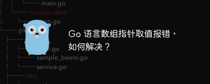 Go 语言数组指针取值报错，如何解决？