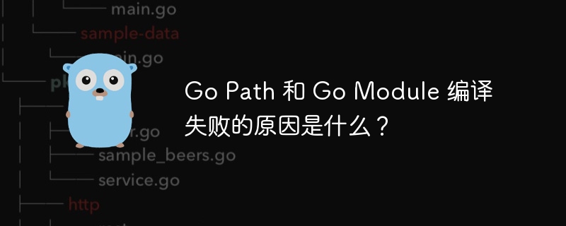 Go Path 和 Go Module 编译失败的原因是什么？