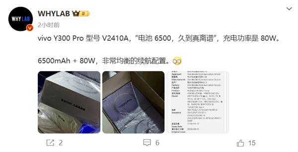 vivo Y300 Pro来袭！80W快充+6500mAh，续航王者？