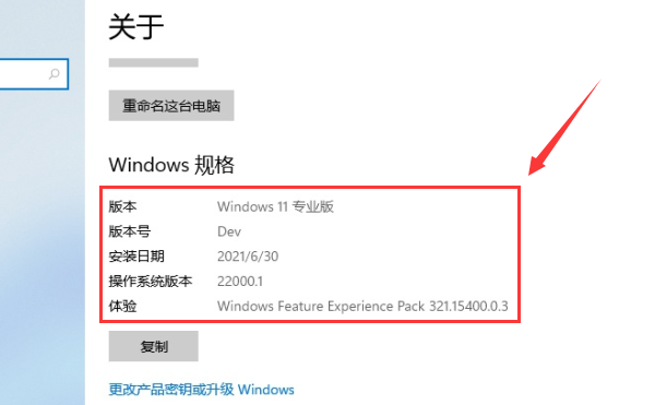 Win11系统怎么查看自己的版号 Win11系统查看版号的方法