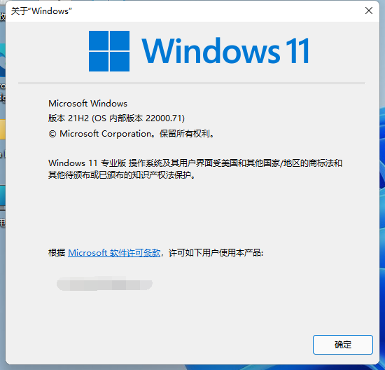 Win11系统怎么查看自己的版号 Win11系统查看版号的方法