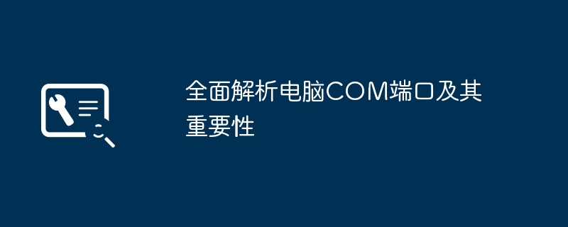 全面解析电脑COM端口及其重要性