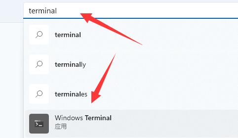 Win11提示找不到wt.exe文件怎么办 Win11提示找不到wt.exe文件解决方法