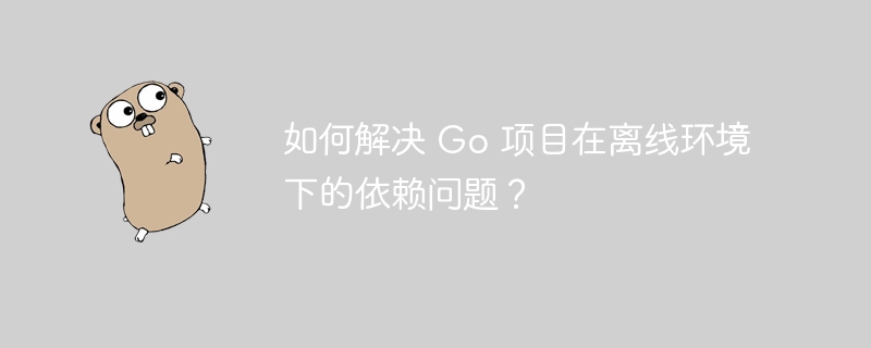 如何解决 Go 项目在离线环境下的依赖问题？