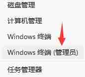 Win11小娜可以语音唤醒吗 Win11小娜是否可以语音唤醒详情