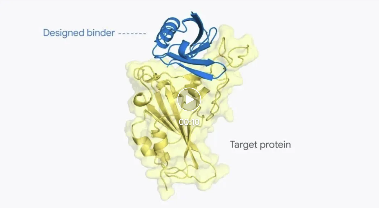 DeepMind蛋白质设计新工具AlphaProteo，从头设计高亲和力蛋白结合剂，成功率最高88％