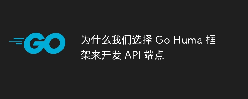 为什么我们选择 Go Huma 框架来开发 API 端点